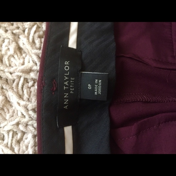 Ankle Pants - Picture 5 of 5